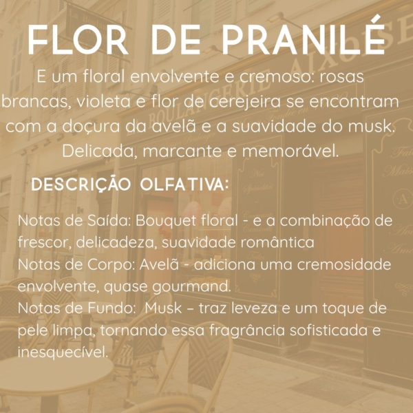 Difusor de Ambiente Varetas de Flor de Pranilé- 250ml - SE.MO - Image 3